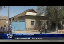 Арысь: История дома, разрушенного топором, обрастает подробностями