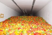 В Россию не пустили 20 тонн перца из Туркестанской области сладкий перец