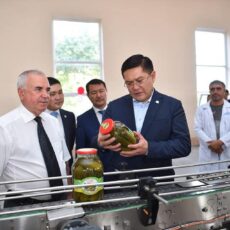 В Шымкенте открылся завод по консервации овощей и фруктов