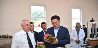В Шымкенте открылся завод по консервации овощей и фруктов