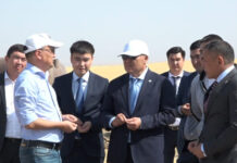 Фермеры Ордабасинского района намерены отправлять семена арбузов в Америку