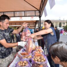 В Шымкенте проходит продуктовая ярмарка