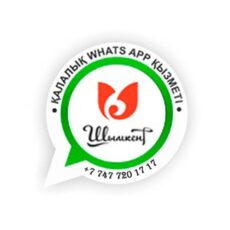 Контактный номер акимата Шымкента в социальной сети WhatsApp изменился