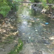 Шымкентский водоканал приглашает жителей на уборку реки Карасу