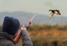 С 7 сентября 2019 года в Казахстане открывается осенне-зимний охотничий сезон