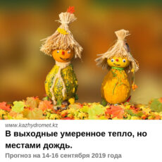 Какой погода будет в выходные рассказали синоптики