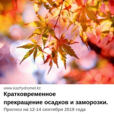 О погоде на ближайшие три дня рассказали синоптики