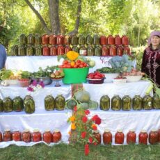 Дачница из Туркестанской области вырастила 25 тонн овощей за лето на небольшом приусадебном участке банки соления