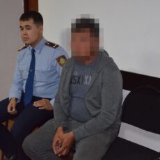 Житель Кентау пустил на мясо чужую лошадь