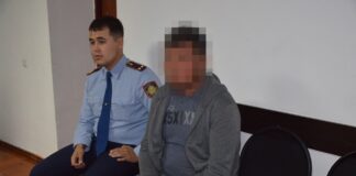 Житель Кентау пустил на мясо чужую лошадь