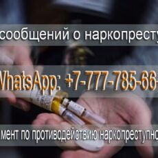 Фото граффити о наркотиках можно отправлять на WhatsApp для принятия мер