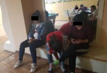 Деятельность шести сутенеров остановили в Туркестанской области