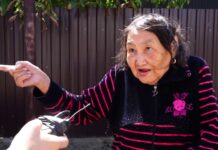 Жители улицы Толстого жалуются на настоящее свинство со стороны соседей