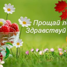 До свидания, лето!