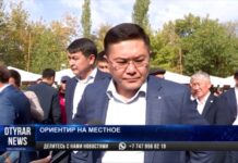 Аким Шымкента Ерлан Айтаханов: «Люблю тюлькубасские яблоки»