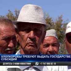 Хлопкоробы требуют выдать государственные субсидии
