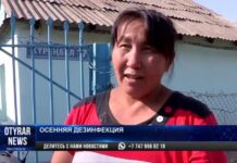 В Шымкенте стартовала осенняя дезинфекция домашних животных против опасного вируса ККГЛ