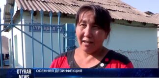 В Шымкенте стартовала осенняя дезинфекция домашних животных против опасного вируса ККГЛ