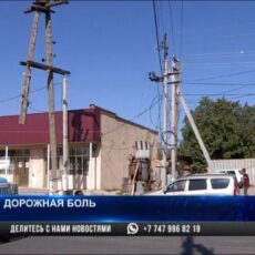 Висячие «электросады» появились в Шымкенте