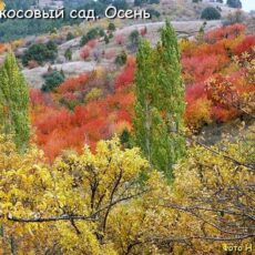 Прогноз погоды в Казахстане на 16 октября