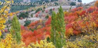 Прогноз погоды в Казахстане на 16 октября