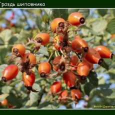 Прогноз погоды на 30 сентября
