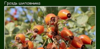 Прогноз погоды в Казахстане на 6 ноября