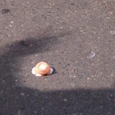 ДТП, сбили ребенка