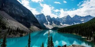 3 марта – Всемирный день дикой природы природа Казахстана