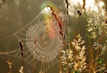 Синоптики рассказали каким будет октябрь