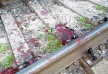 В Шымкенте под колесами поезда погиб трехлетний малыш