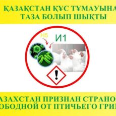 Казахстан признан страной свободной от птичьего гриппа