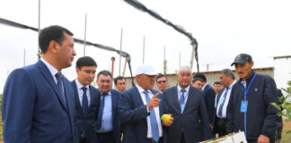 В Толебийском районе открыли гидроэлектростанцию