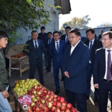 Аким Шымкента: стихийная торговля возле Верхнего рынка незаконна и опасна