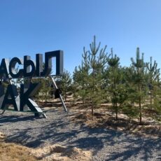 1 млн 300 тысяч деревьев посадят в Туркестанской области