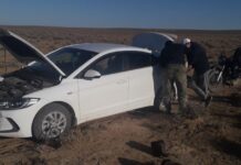 Семья из Нур-Султана заблудилась в Созакской степи