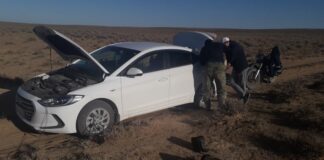 Семья из Нур-Султана заблудилась в Созакской степи