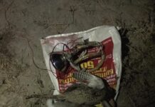 Фазаны и зайцы попали под прицел браконьеров в Отырарском районе браконьеры