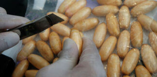 Сорок две капсулы с кокаином нашли в желудке казахстанца кокаин