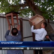 Сотрудники райакимата Шымкента вышли в рейд, вооружившись ножовками