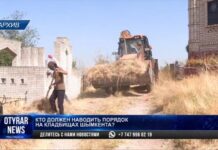 Кладбища в Шымкенте вновь остались без присмотра