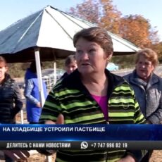В Толебийском районе кладбище превратили в пастбище