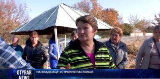 В Толебийском районе кладбище превратили в пастбище