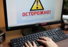 В Шымкенте мошенники обещают участникам проекта «Бастау Бизнес» сертификаты за деньги