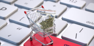 Более пятидесяти интернет-ресурсов предлагали наркотики