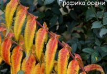 Прогноз погоды на 7 октября