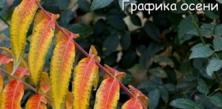 Синоптики рассказали каким будет октябрь в Казахстане