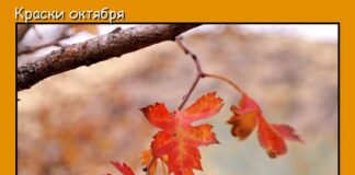 Прогноз на 12-14 ноября: Антициклон, циклон и вновь антициклон