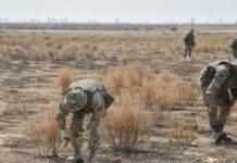 Есть риски для жизни — Ермекбаев о работе военнослужащих в Арыси