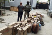 Вывоз рогов сайги из РК в Китай: Ущерб составил 5,5 млрд тенге